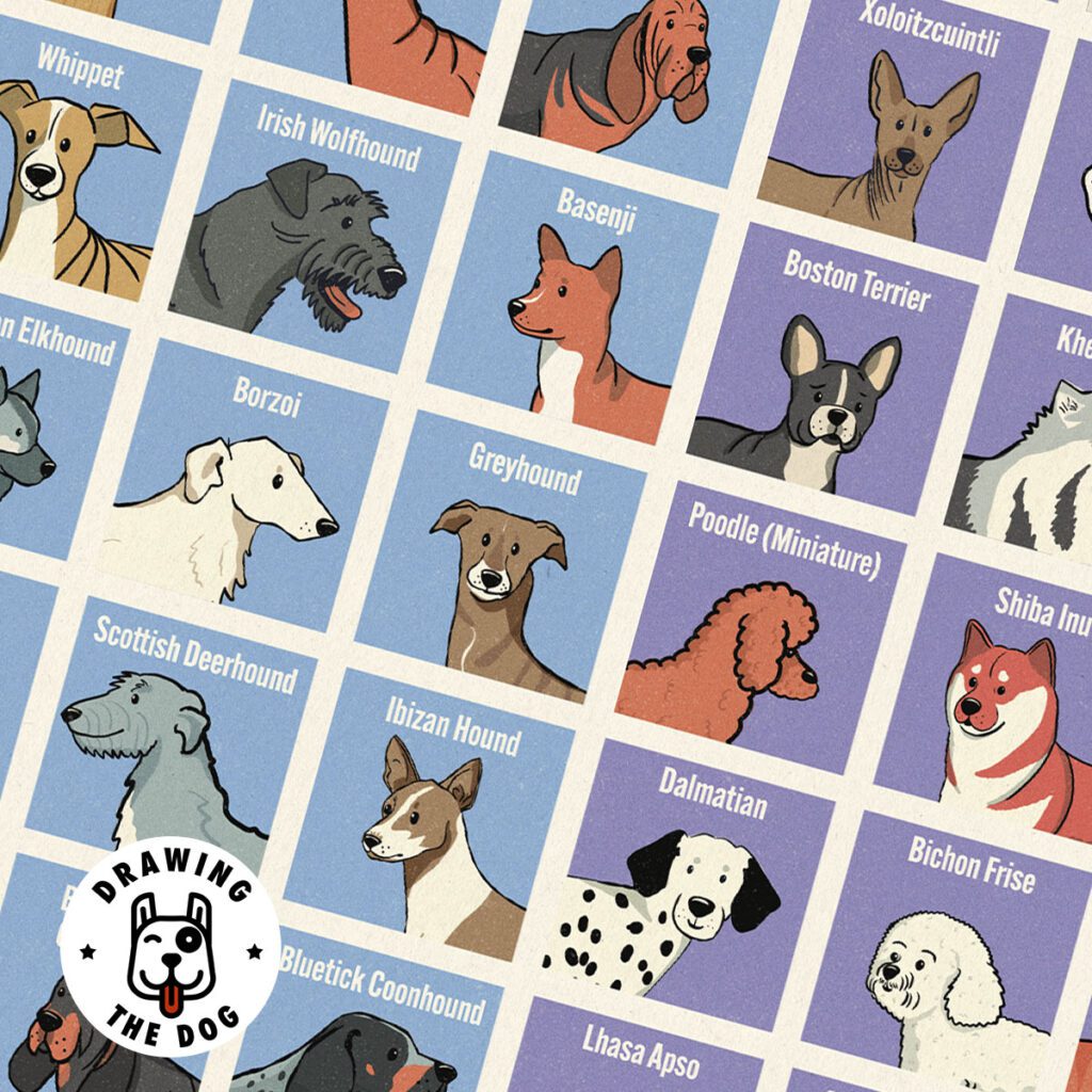 Periodic Table of Dogs Closeup 2 - illustrated by Drawing The Dog