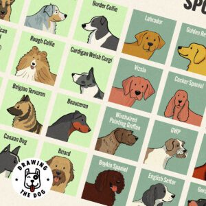 Periodic Table of Dogs Closeup - illustrated by Drawing The Dog