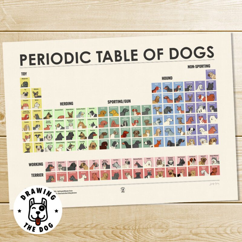 Periodic Table of Dogs Art Print - illustrated by Drawing The Dog