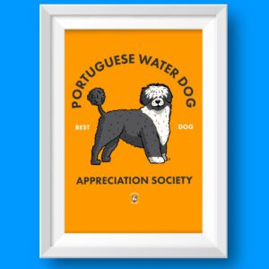 Portuguese Water Dog AS Featured