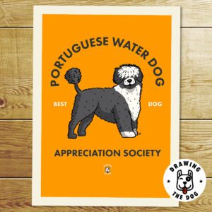 Portuguese Water Dog AS Print