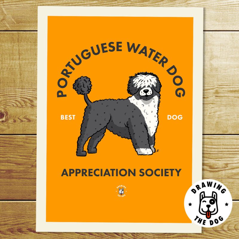 Portuguese Water Dog AS Print