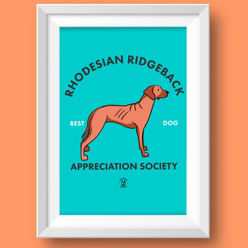Rhodesian Ridgeback AS Featured