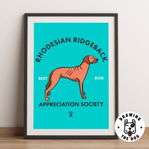 Rhodesian Ridgeback AS Framed