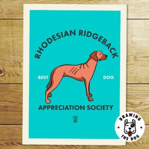Rhodesian Ridgeback AS Print
