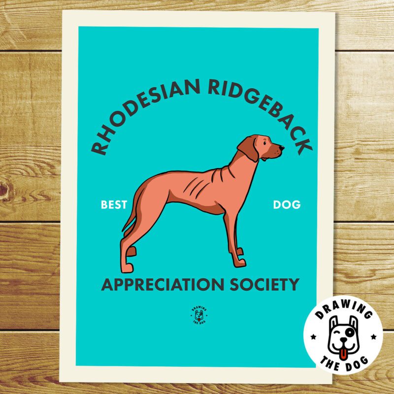 Rhodesian Ridgeback AS Print