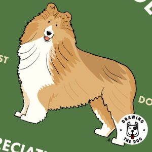Rough Collie AS Closeup