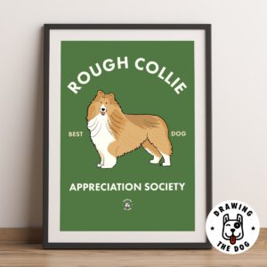 Rough Collie AS Framed