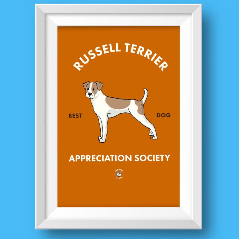 Russell Terrier AS Featured