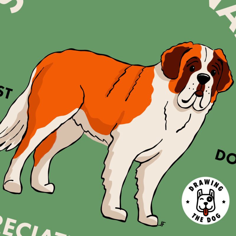 Saint Bernard Wall Art Closeup