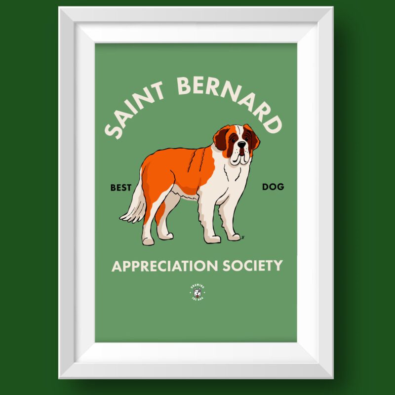 Saint Bernard Wall Art Featured