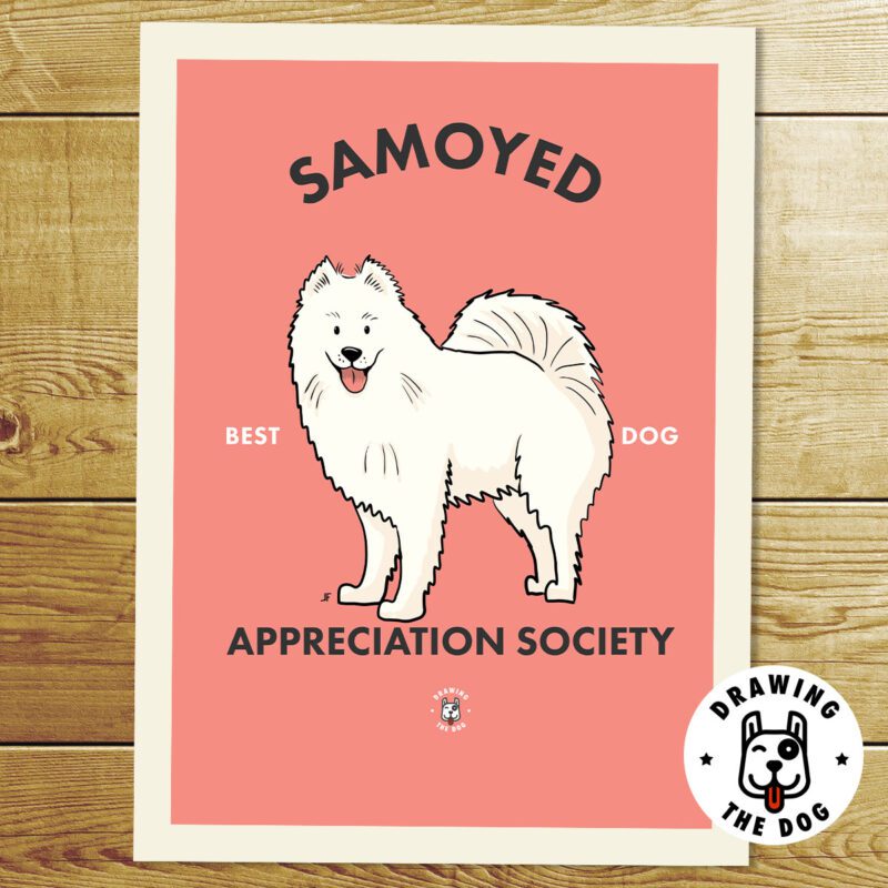 Samoyed AS Print