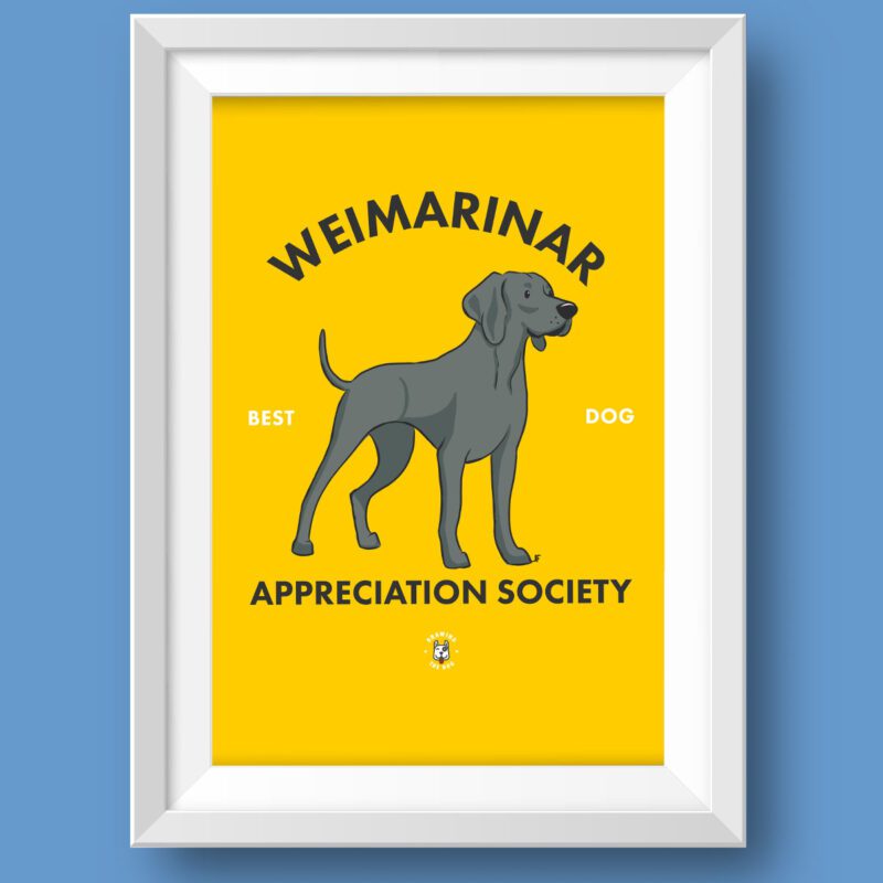 Weimaranar AS Featured