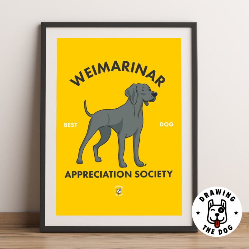 Weimaranar AS Framed
