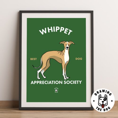 Whippet AS Framed