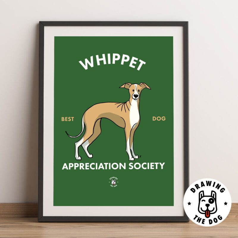 Whippet AS Framed