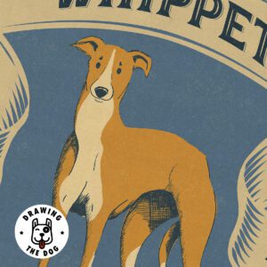 Whippet-Safety-Matches-Closeup