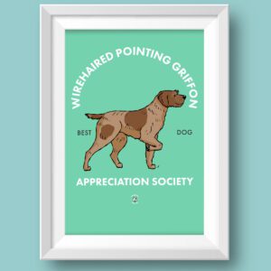 Wirehaired Pointing Griffon AS Featured