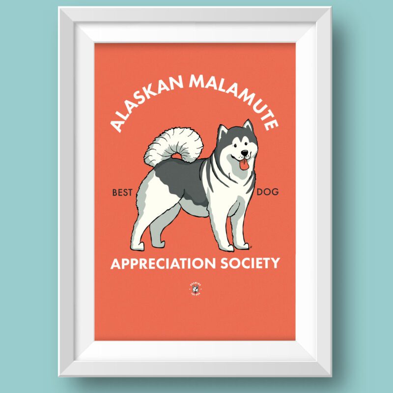 Alaskan Malamute AS Featured