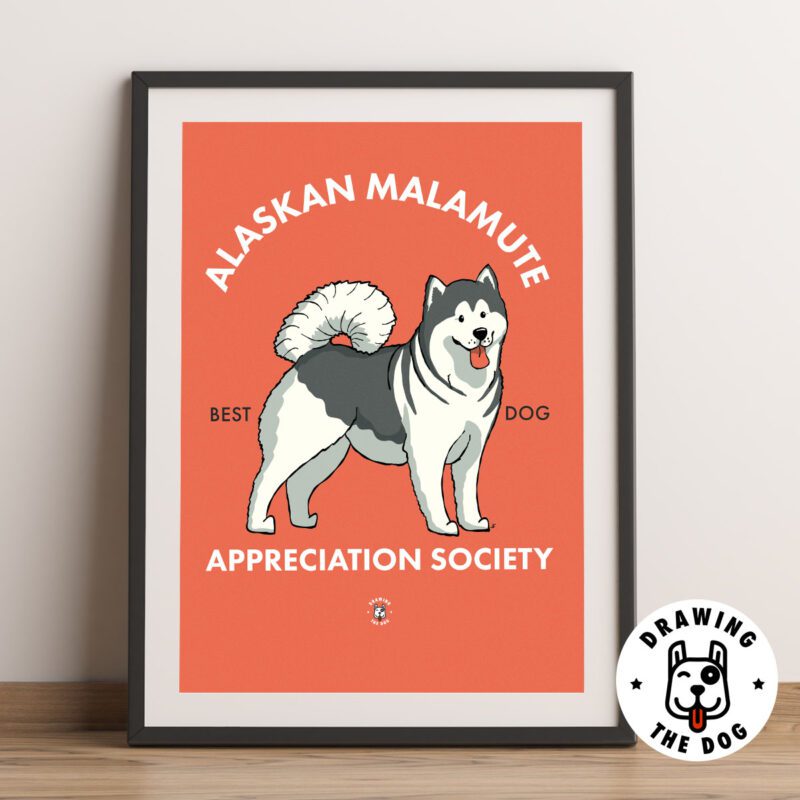 Alaskan Malamute AS Framed