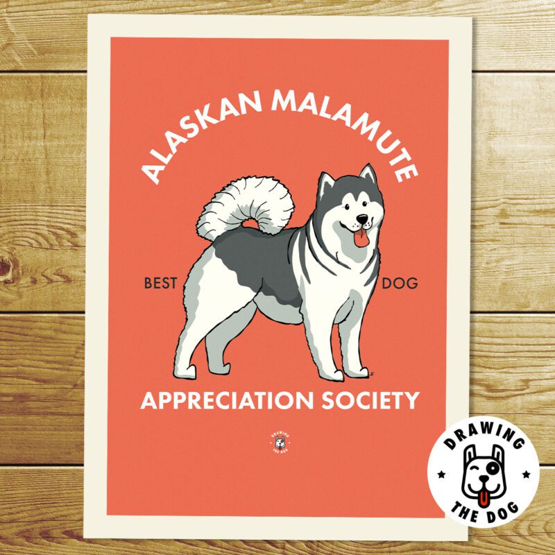 Alaskan Malamute AS Print