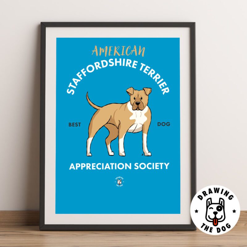 American Staffordshirt Terrier Framed