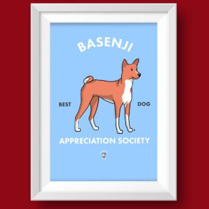 Basenji AS Featured