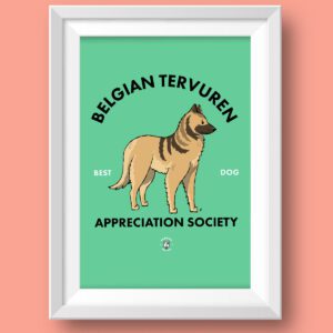 Belgian Tervuren AS Featured
