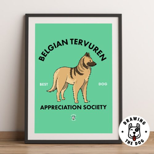 Belgian Tervuren AS Framed