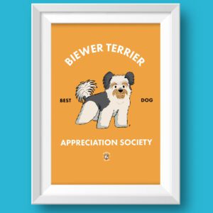 Biewer Terrier AS Featured