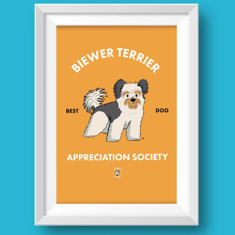 Biewer Terrier AS Featured