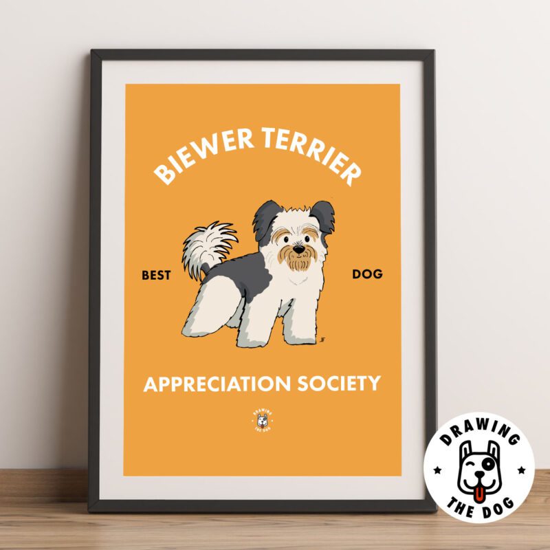 Biewer Terrier AS Framed