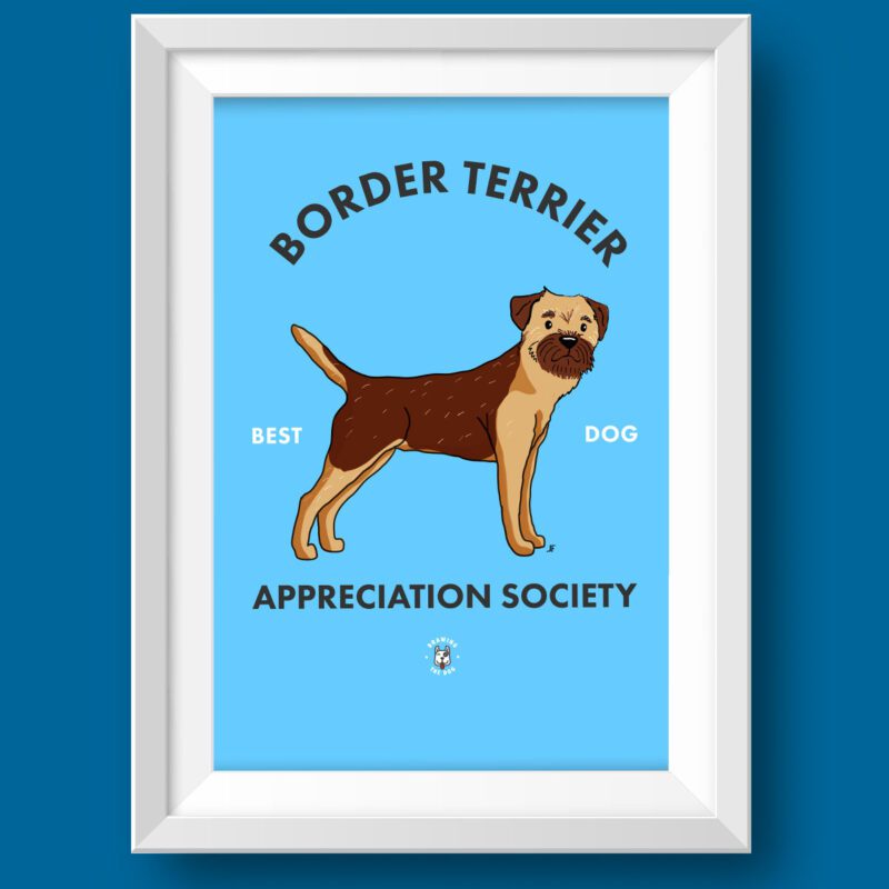 Border Terrier AS Featured