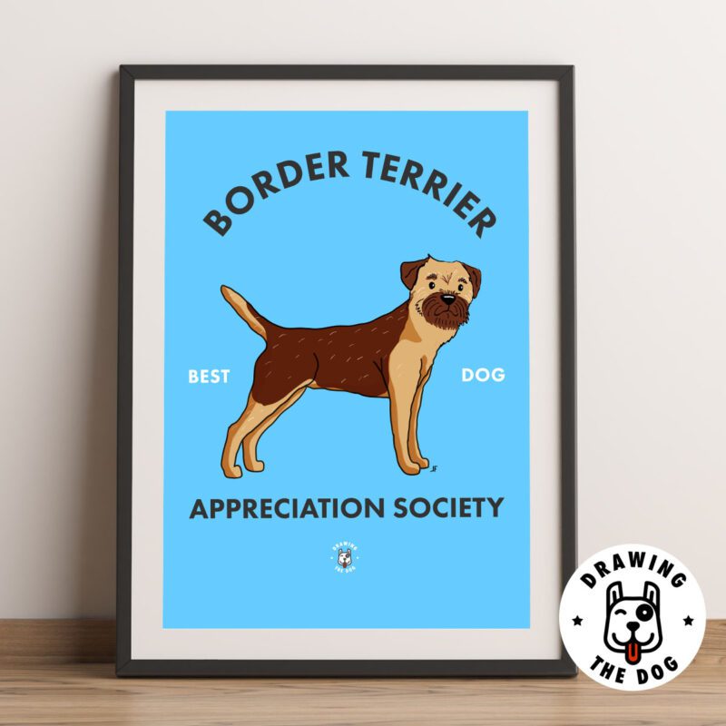 Border Terrier AS Framed