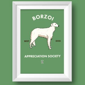 Borzoi AS Featured