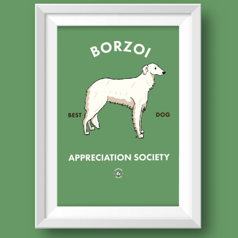 Borzoi AS Featured