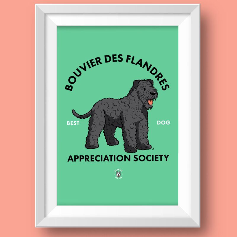 Bouvier Des Flandres AS Featured