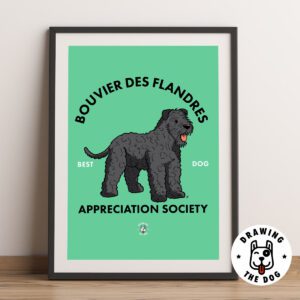 Bouvier Des Flandres AS Framed