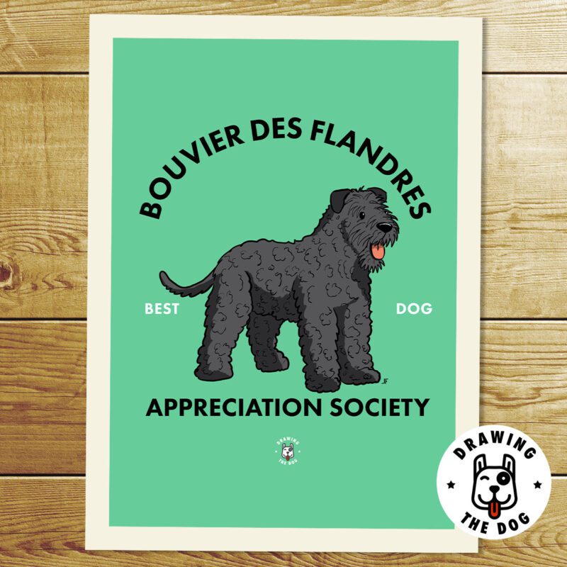 Bouvier Des Flandres AS Print