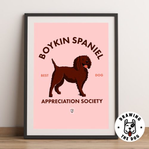 Boykin Spaniel AS Framed