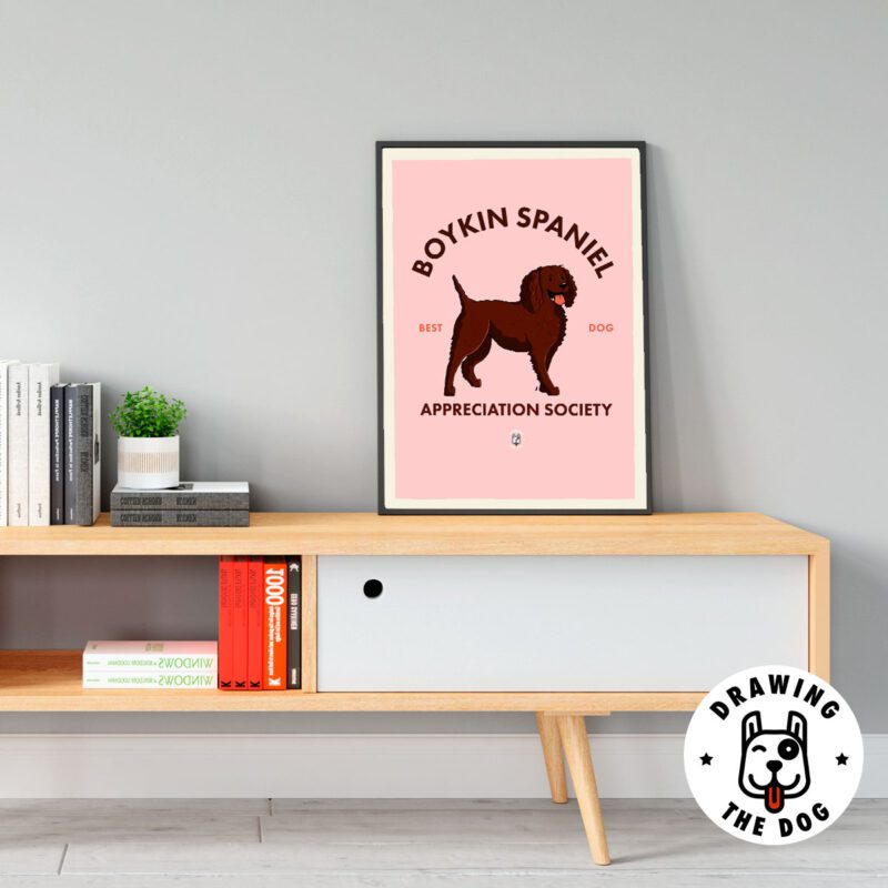 Boykin Spaniel AS Living Room Decor