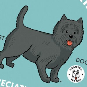 Cairn Terrier ASCloseup