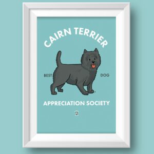 Cairn Terrier ASFeatured