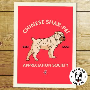 Chinese SharPei AS Print