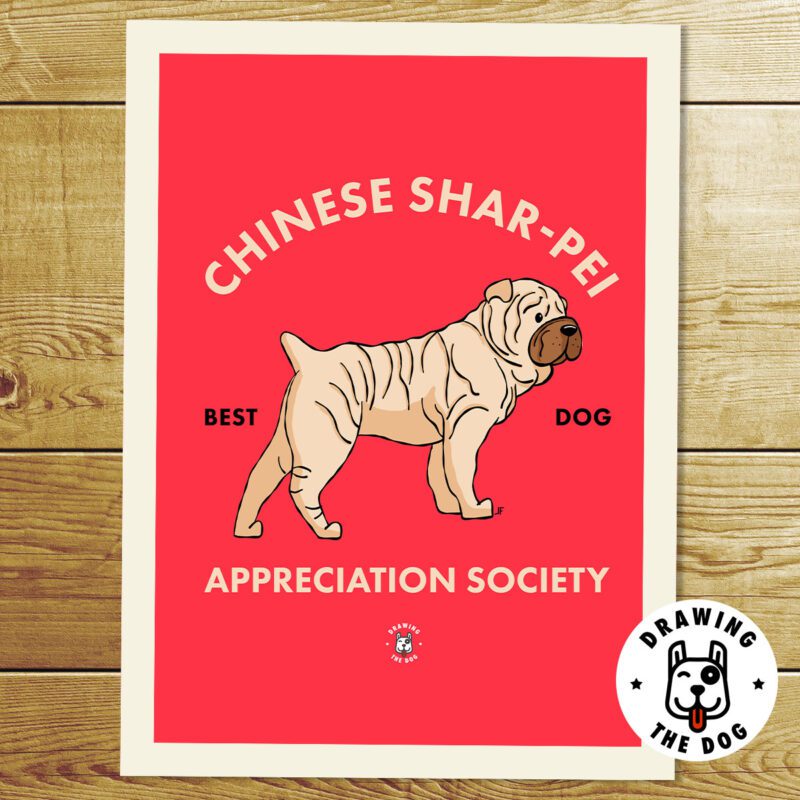 Chinese SharPei AS Print