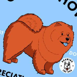 Chow Chow AS Closeup