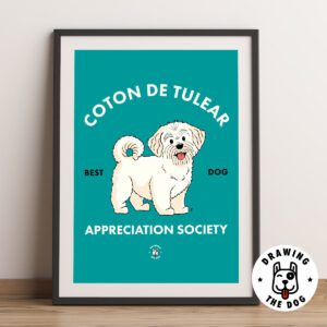 Coton De Tulear AS Framed