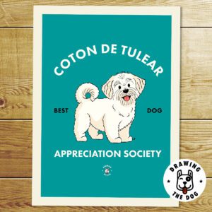Coton De Tulear AS Print