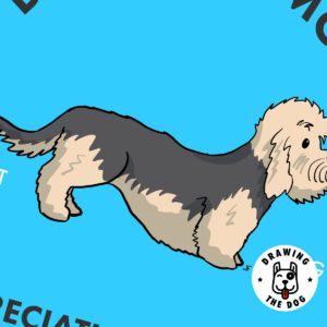 Dandie Dinmont AS Closeup