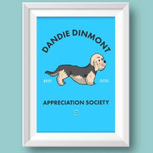 Dandie Dinmont AS Featured